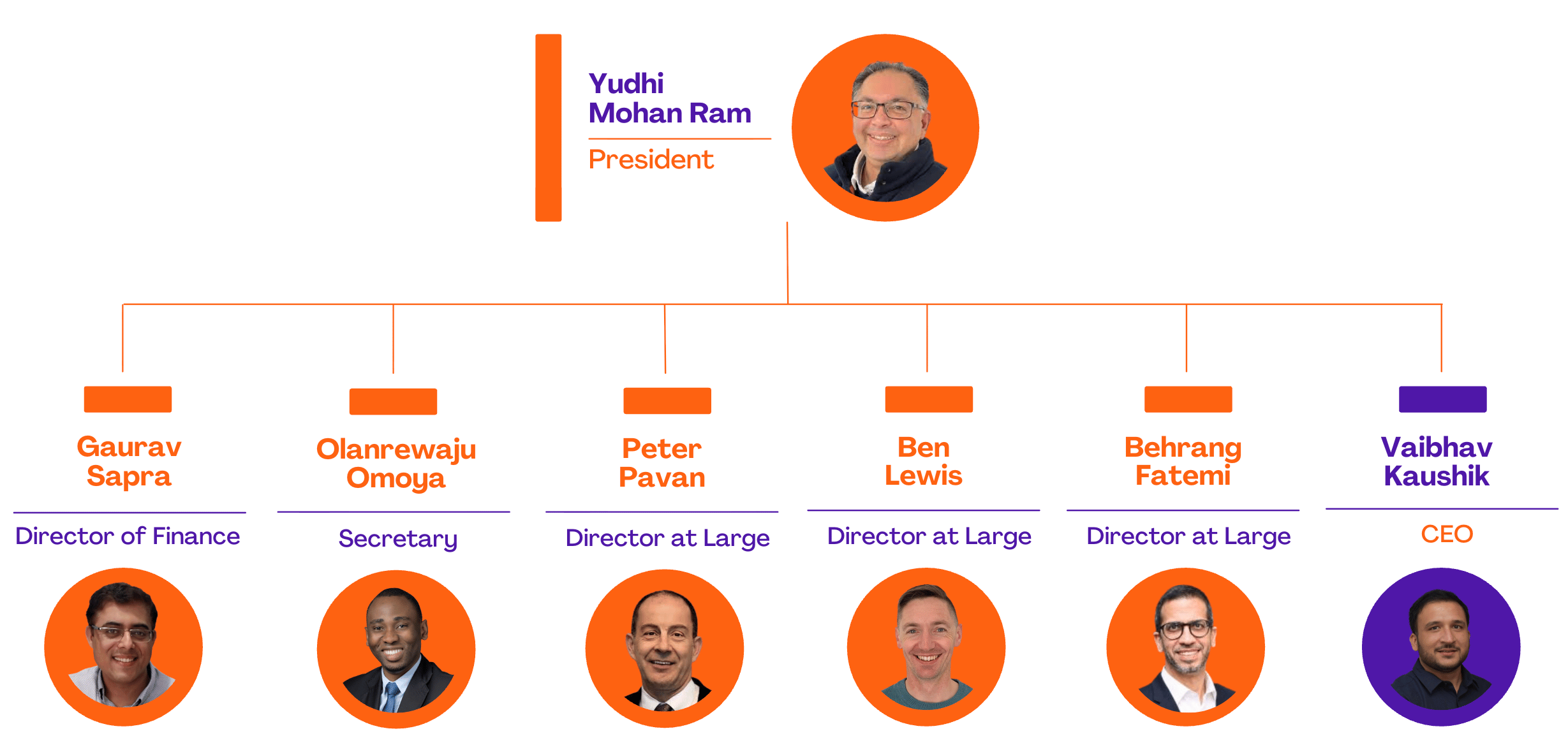 Board of Directors 2026 2